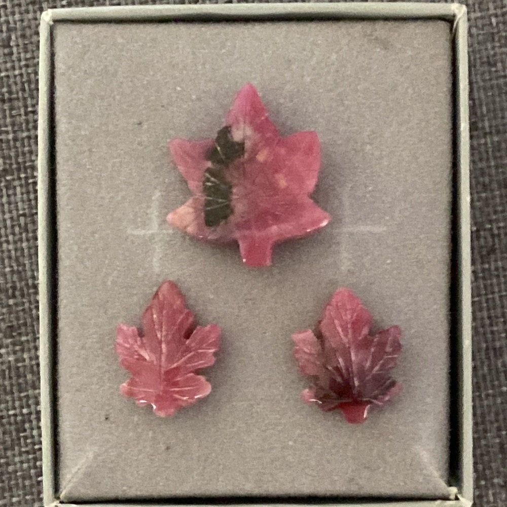 Vintage Rhodonite Earrings and Pin Set